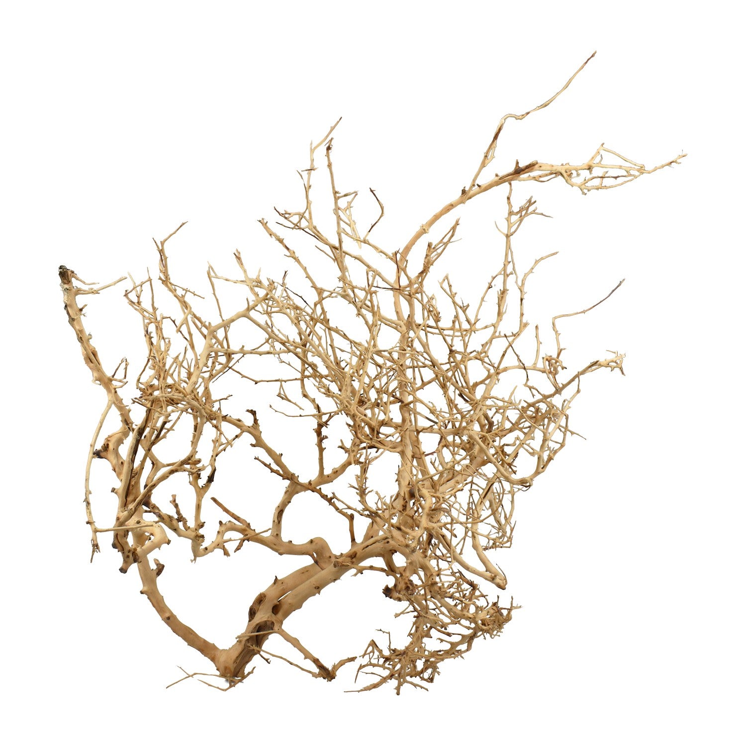 AQPET Legno Naturale Tiny Wood Medium AQPET Legno Naturale Tiny Wood Medium